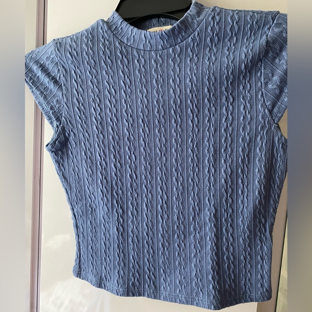 Heart and Hips blue crop top